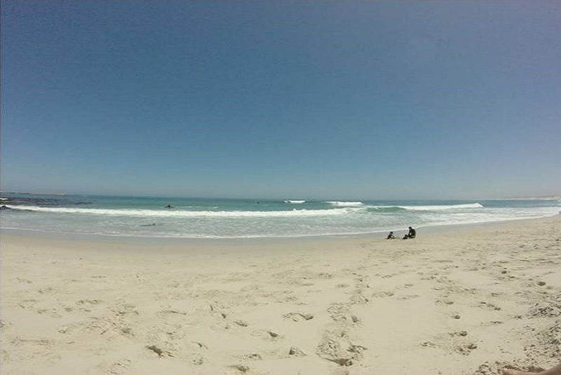 Muisbosskerm Guided Beach Walk