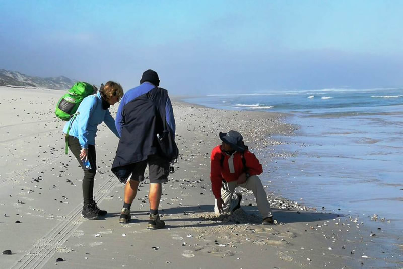 Steenbokfontein to Elands Bay Beach Hike